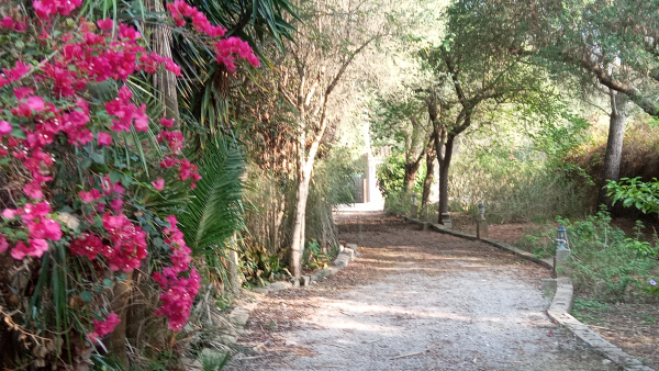 Rustikale Finca nahe Pollensa Altstadt