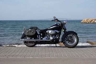 Harley Davidson Springer Classic