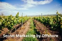 Grosses Grundstück mit Weinanbau und Hausprojekt in Umgebung von Inca