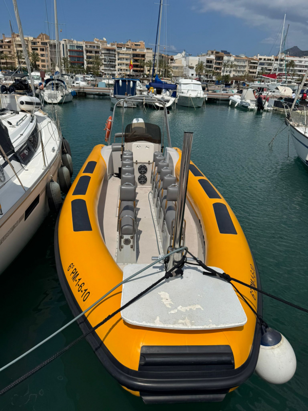 Adventuretour Speedboat / Delfine 12 PAX  Puerto Alcudia