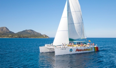 Sailing Catamaran