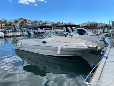 Sea Ray 240 Bowrider